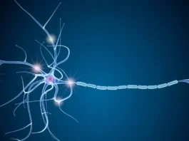 multiple sclerosis